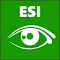 Image du logo de l'article pour ESI Stylish