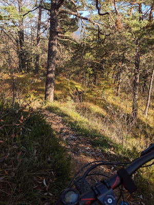 Bürgermeisterhöhe trail