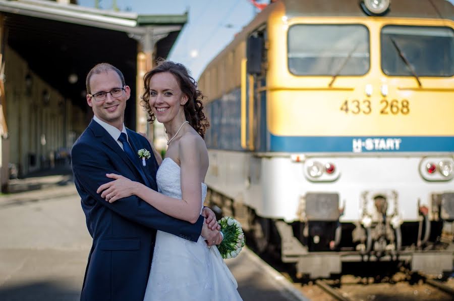 Fotógrafo de bodas Arató Gergely (naivart). Foto del 26 de febrero 2019