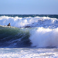 L'onda di Naldina Fornasari