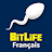 BitLife Français icon