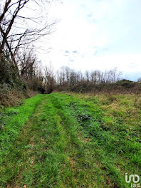 terrain à Saint-Thomas-de-Conac (17)