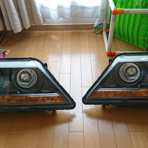 エリシオンプレステージ RR5