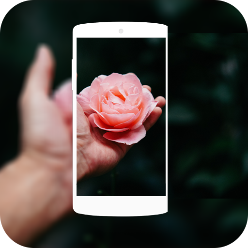 HD Pink Flowers Live Wallpaper