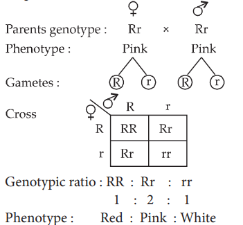 Solution Image