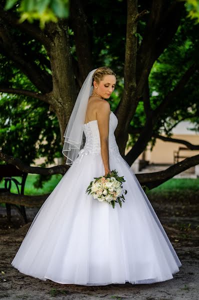 Esküvői fotós Judit Németh-Antal (kisjuc716). Készítés ideje: 2020 június 28.