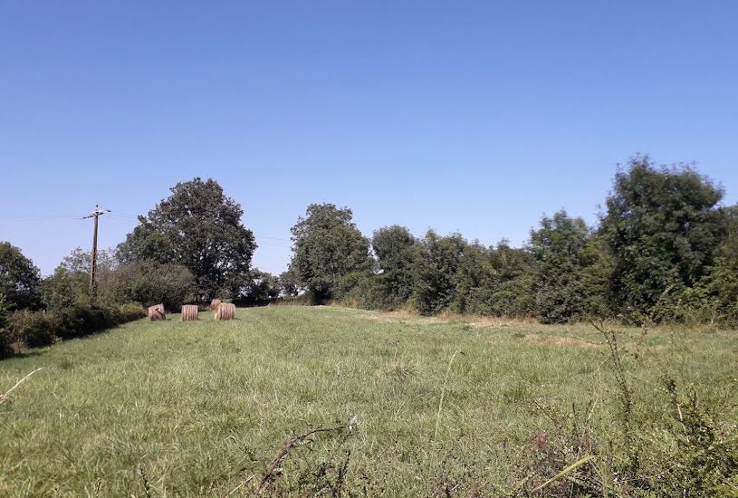  Vente Terrain à bâtir - 2 685m² à Vouvant (85120) 