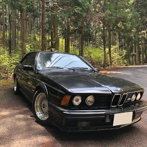 M6 E24