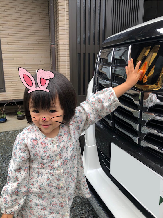 アルファードのなおとんぼ変態・テンガ・ドライブに関するカスタム事例の投稿画像2枚目
