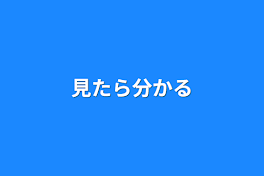 見たら分かる