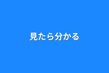 見たら分かる