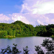 沙湖壢咖啡館