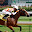 Horse Racing HD Wallpapers New Tab Theme