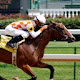 Horse Racing HD Wallpapers New Tab Theme