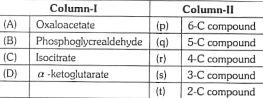 Glycolysis