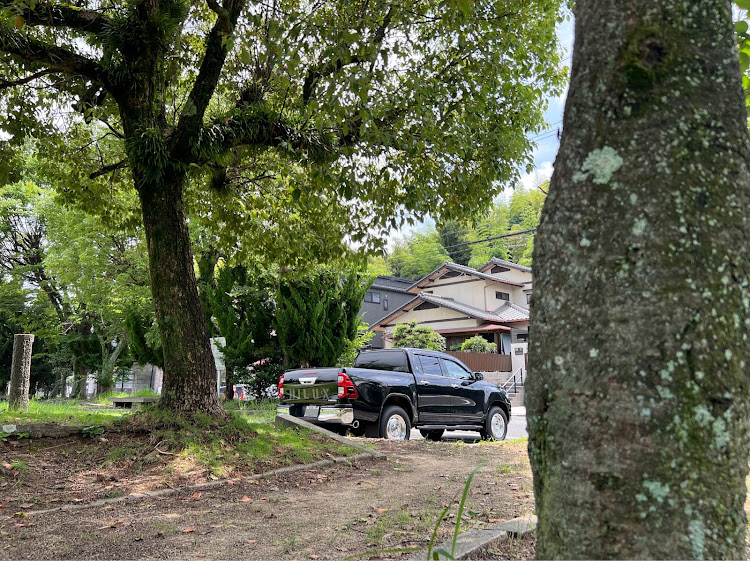 ハイラックスの黒ブタ・プチ撮影会・自然がお似合い🛻🌲🌳・1/1プラモデル・1/1ホットウィールに関するカスタム事例の投稿画像2枚目