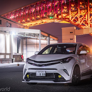 C-HR NGX50