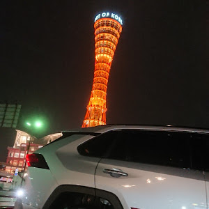 RAV4 MXAA54