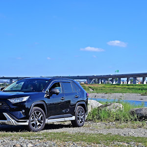 RAV4 MXAA54