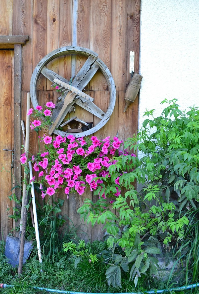 The wheel on the wall di Lauram