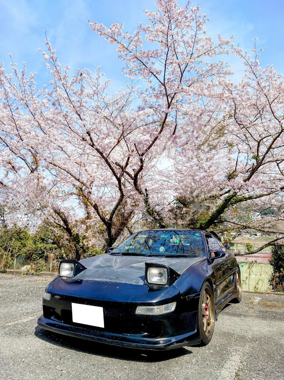MR2のエキゾーストコントロールバルブ・桜と愛車・マフラー・サクラと愛車・桜コラボに関するカスタム事例の投稿画像1枚目
