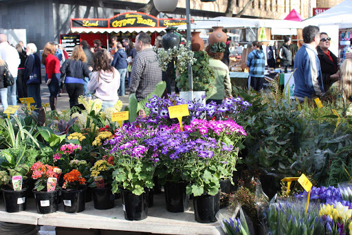 Australia-Hobart-Salamanca - Salamanca Market in Hobart, Tasmania.