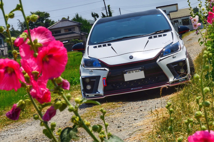 プリウス G'sの紫陽花・あじさいの里・潮田神社・夏祭りに関するカスタム事例の投稿画像13枚目
