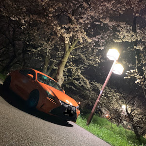 RC AVC10