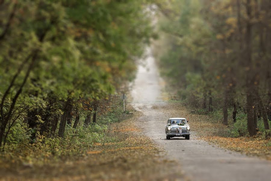 Fotografer pernikahan Aleksey Temnov (temnov). Foto tanggal 11 November 2015