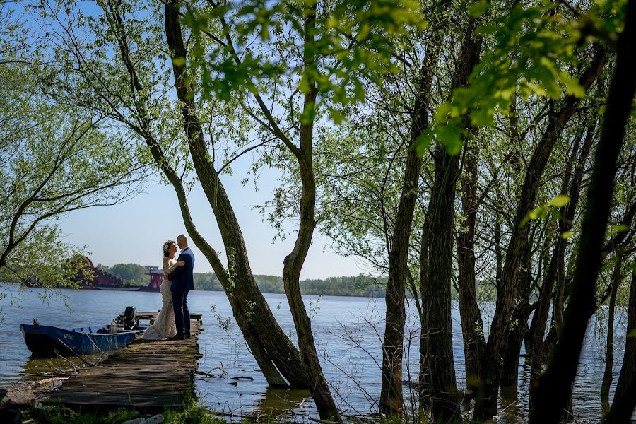 Pulmafotograaf Zoran Stojanovic (fotografijasd). Foto tehtud 23 detsember 2018