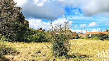 terrain à Luçon (85)