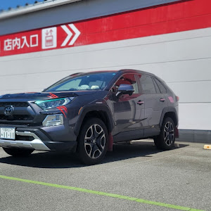 RAV4 MXAA54