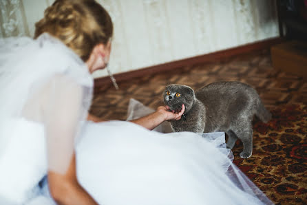 Photographe de mariage Violetta Careva (carevaviola). Photo du 25 octobre 2017