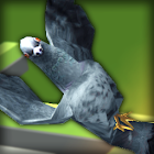 Pigeon Ragdoll Simulator 1