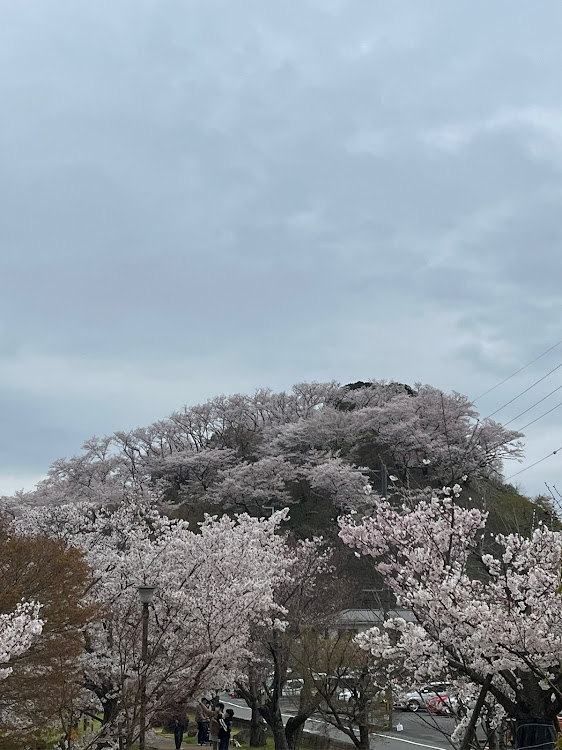 の投稿画像2枚目