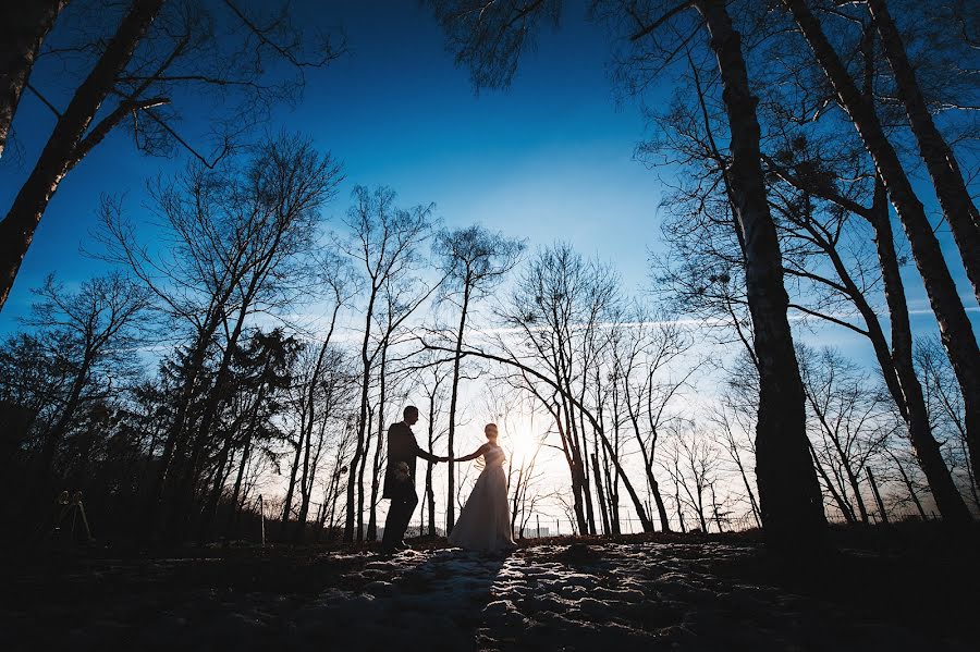 Fotógrafo de casamento Volodimir Kovalishin (nla6ep). Foto de 24 de fevereiro 2019