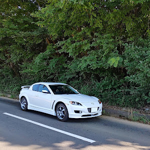 RX-8