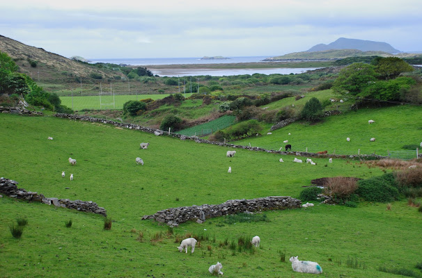 Spring in Ireland di luiker