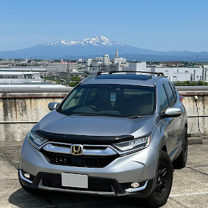 CR-V RW2