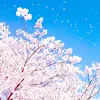 ユーザー