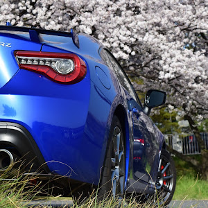 BRZ ZC6