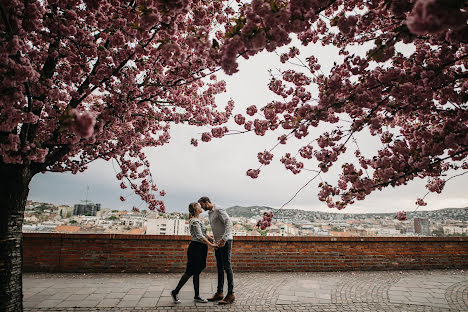 Fotógrafo de bodas Virág Mészáros (awhjs). Foto del 5 de mayo 2020