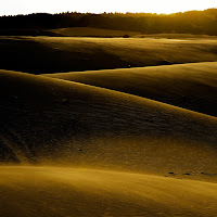 dune di 