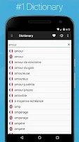 French English Dictionary Screenshot