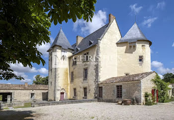 château à Saintes (17)