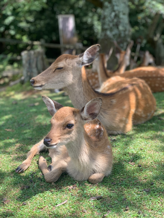 の投稿画像3枚目