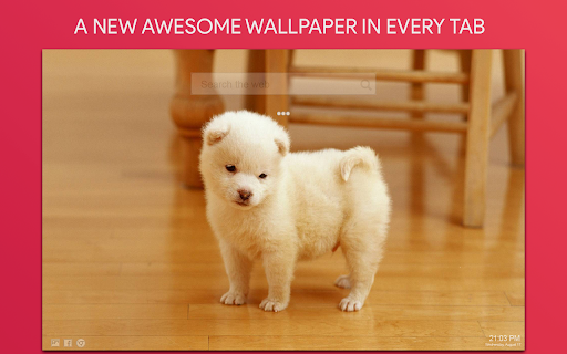 Cute Dog Wallpaper HD Custom New Tab