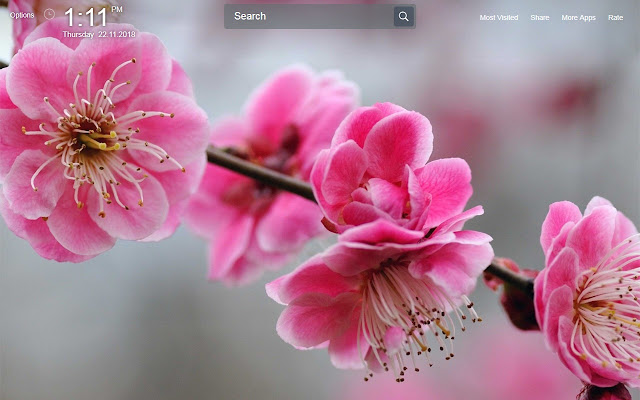 Girly Wallpapers Theme New Tab