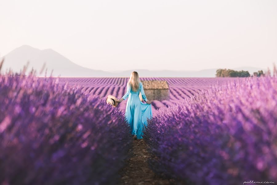 Bryllupsfotograf Polina Levska (pollimi). Bilde av 2 august 2018