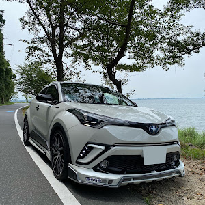 C-HR ZYX10